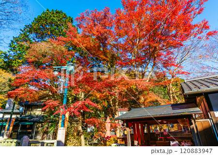 高尾山　清滝駅前　高尾まんじゅうの店 120883947