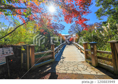 紅葉と太陽と猿橋 120883949