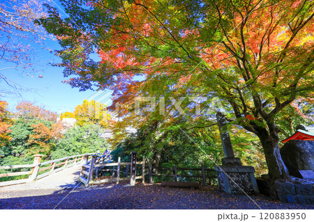 秋の名勝 猿橋 秋の名勝 猿橋 120883950