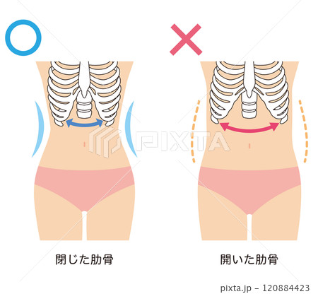 開いた肋骨 閉じた肋骨 開いた肋骨 閉じた肋骨 120884423