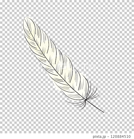 羽のイラスト04 カラーオフホワイト 羽のイラスト04 カラーオフホワイト 120884510