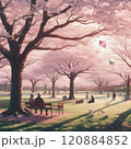 桜の咲く公園 120884852
