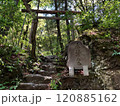 山の中の鳥居 120885162