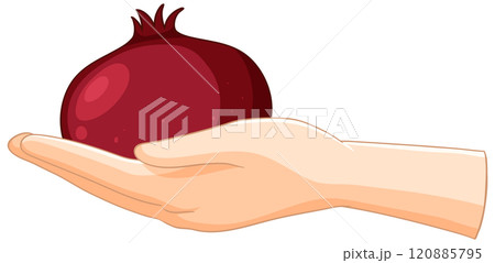 Hand Holding a Pomegranate Illustration 120885795