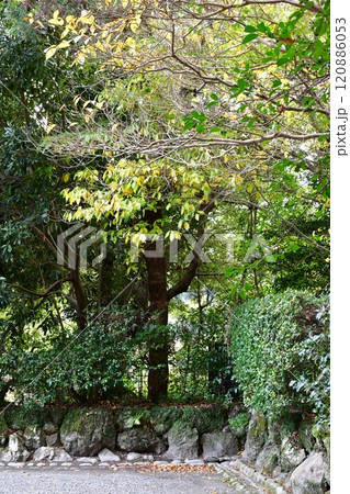 晩秋の伊勢神宮外宮 120886053