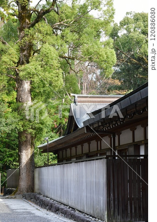 晩秋の伊勢神宮外宮 晩秋の伊勢神宮外宮 120886080