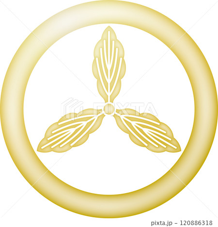 家紋　土佐柏【金色】 120886318