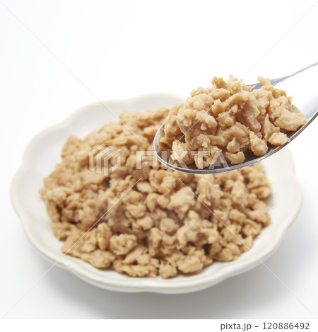 皿盛りされた大豆ミートが白背景に置かれた様 120886492