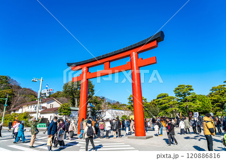 【神奈川県】綺麗な青空が広がる正月の鶴岡八幡宮 【神奈川県】綺麗な青空が広がる正月の鶴岡八幡宮 120886816