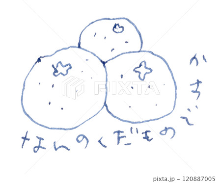 「なんのくだものですか」果物の線画イラスト手書き_万年筆ブルーブラック染料インク 120887005
