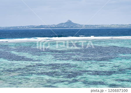 ディープな沖縄(ヤンバル編） 120887100