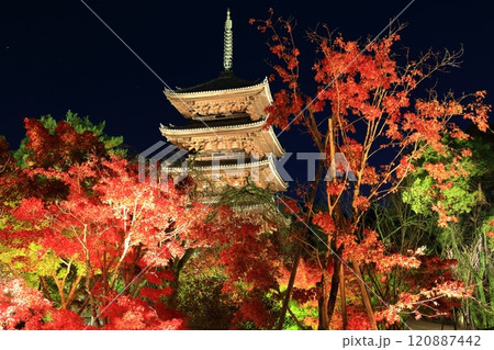 【京都府】仁和寺紅葉ライトアップ（五重塔） 120887442
