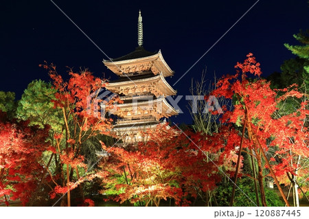 【京都府】仁和寺紅葉ライトアップ(五重塔) 【京都府】仁和寺紅葉ライトアップ(五重塔) 120887445