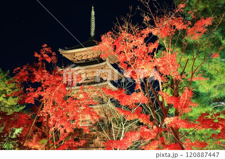 【京都府】仁和寺紅葉ライトアップ(五重塔) 【京都府】仁和寺紅葉ライトアップ(五重塔) 120887447
