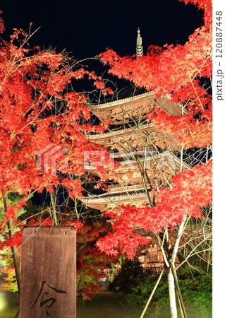 【京都府】仁和寺紅葉ライトアップ（五重塔） 120887448