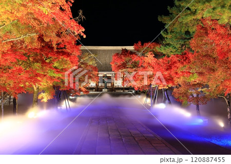 【京都府】仁和寺紅葉雲海ライトアップ(金堂) 【京都府】仁和寺紅葉雲海ライトアップ(金堂) 120887455