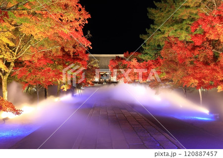 【京都府】仁和寺紅葉雲海ライトアップ（金堂） 120887457