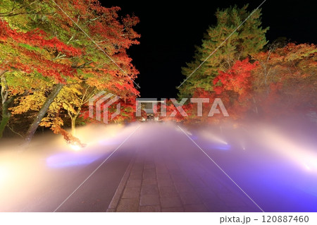 【京都府】仁和寺紅葉雲海ライトアップ(金堂) 【京都府】仁和寺紅葉雲海ライトアップ(金堂) 120887460