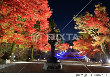 【京都府】仁和寺紅葉雲海ライトアップ(中門) 【京都府】仁和寺紅葉雲海ライトアップ(中門) 120887464