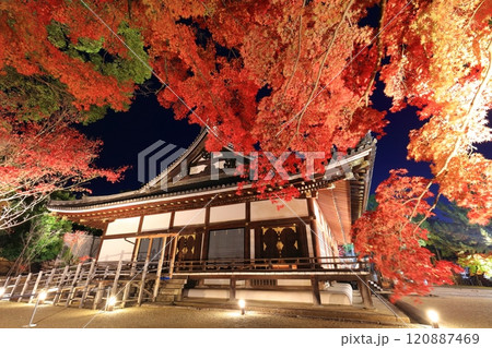 【京都府】仁和寺紅葉ライトアップ(観音堂) 【京都府】仁和寺紅葉ライトアップ(観音堂) 120887469
