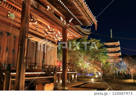 【京都府】仁和寺紅葉ライトアップ（観音堂と五重塔） 120887473