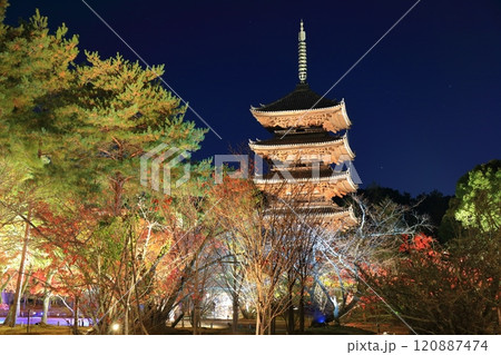 【京都府】仁和寺紅葉ライトアップ(五重塔) 【京都府】仁和寺紅葉ライトアップ(五重塔) 120887474