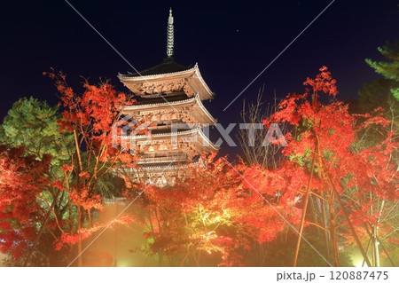 【京都府】仁和寺紅葉ライトアップ(五重塔) 【京都府】仁和寺紅葉ライトアップ(五重塔) 120887475