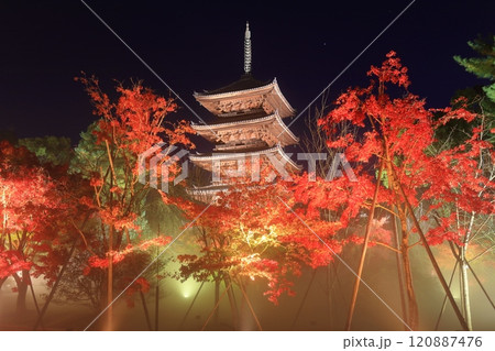【京都府】仁和寺紅葉ライトアップ(五重塔) 【京都府】仁和寺紅葉ライトアップ(五重塔) 120887476
