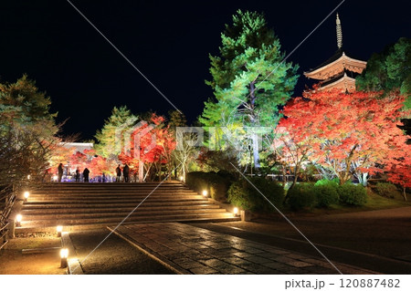 【京都府】仁和寺紅葉雲海ライトアップ（五重塔と金堂） 120887482