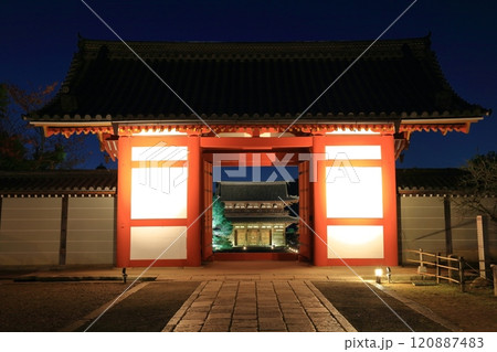 【京都府】仁和寺紅葉ライトアップ（中門と二王門） 120887483