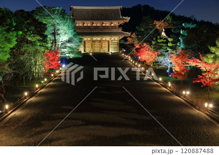 【京都府】仁和寺紅葉ライトアップ（二王門） 120887488
