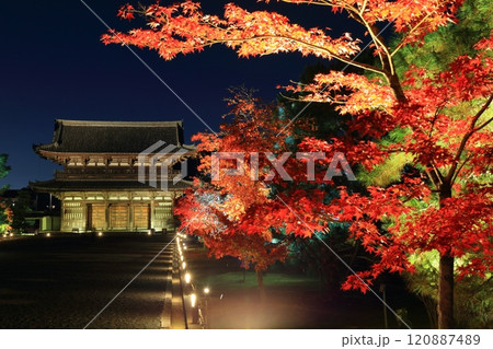 【京都府】仁和寺紅葉ライトアップ(二王門) 【京都府】仁和寺紅葉ライトアップ(二王門) 120887489