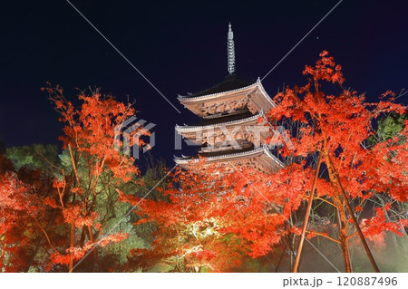【京都府】仁和寺紅葉ライトアップ(五重塔) 【京都府】仁和寺紅葉ライトアップ(五重塔) 120887496