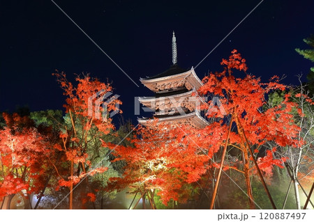 【京都府】仁和寺紅葉ライトアップ（五重塔） 120887497
