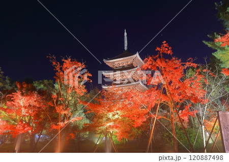 【京都府】仁和寺紅葉ライトアップ(五重塔) 【京都府】仁和寺紅葉ライトアップ(五重塔) 120887498