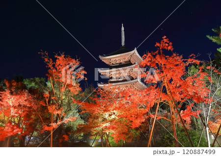 【京都府】仁和寺紅葉ライトアップ(五重塔) 【京都府】仁和寺紅葉ライトアップ(五重塔) 120887499