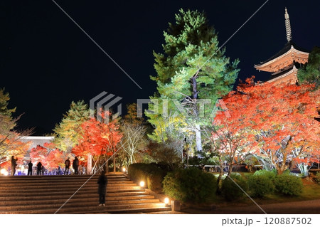 【京都府】仁和寺紅葉雲海ライトアップ（五重塔と金堂） 120887502