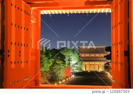 【京都府】仁和寺紅葉ライトアップ(中門と二王門) 【京都府】仁和寺紅葉ライトアップ(中門と二王門) 120887503