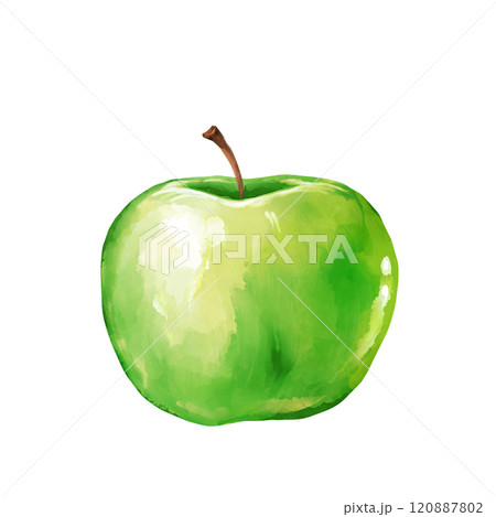 Fresh Green Apple Fruit hand drawn illustration 120887802