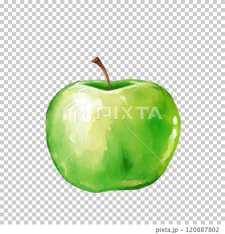 Fresh Green Apple Fruit hand drawn illustration Fresh Green Apple Fruit hand drawn illustration 120887802