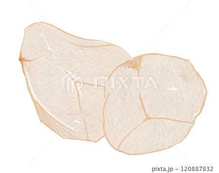 秋冬の野菜を水彩で描いた皮を剥いた里芋のベクターイラスト素材 秋冬の野菜を水彩で描いた皮を剥いた里芋のベクターイラスト素材 120887832