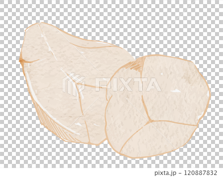 水彩畫的去皮芋頭、秋冬蔬菜向量圖解素材 120887832