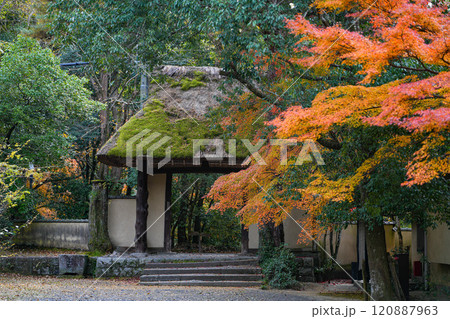 俳聖殿 三重県上野市 俳聖殿 三重県上野市 120887963