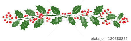 Holly christmas berries cherry branch color illustrations 120888285