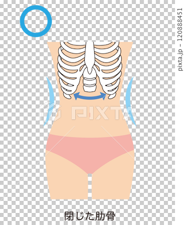 Closed ribs Waist Closed ribs Waist 120888451