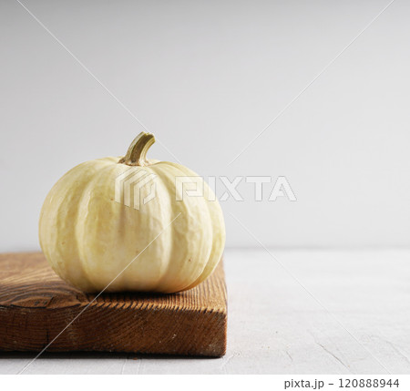 Elegant white Pumpkin wooden board on light background and copyspace - halloween Elegant white Pumpkin wooden board on light background and copyspace - halloween 120888944