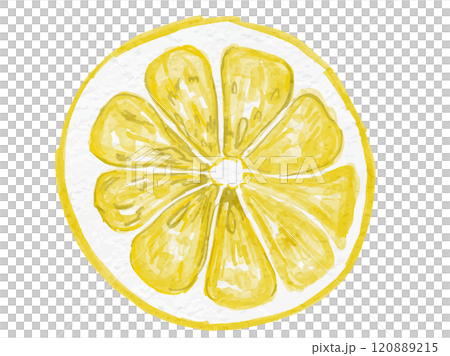 水彩で描いた冬の果物和食　ゆずのイラストベクター素材 120889215