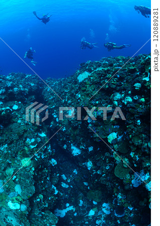 西表島の海 ダイビングの風景 西表島の海 ダイビングの風景 120889281