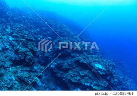 西表島の海　ダイビングの風景 120889461
