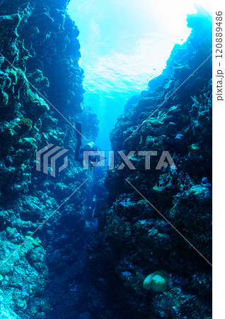 西表島の海 ダイビングの風景 西表島の海 ダイビングの風景 120889486
